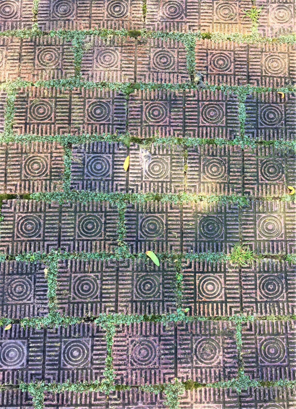 Black Point Paving Bricks.jpg